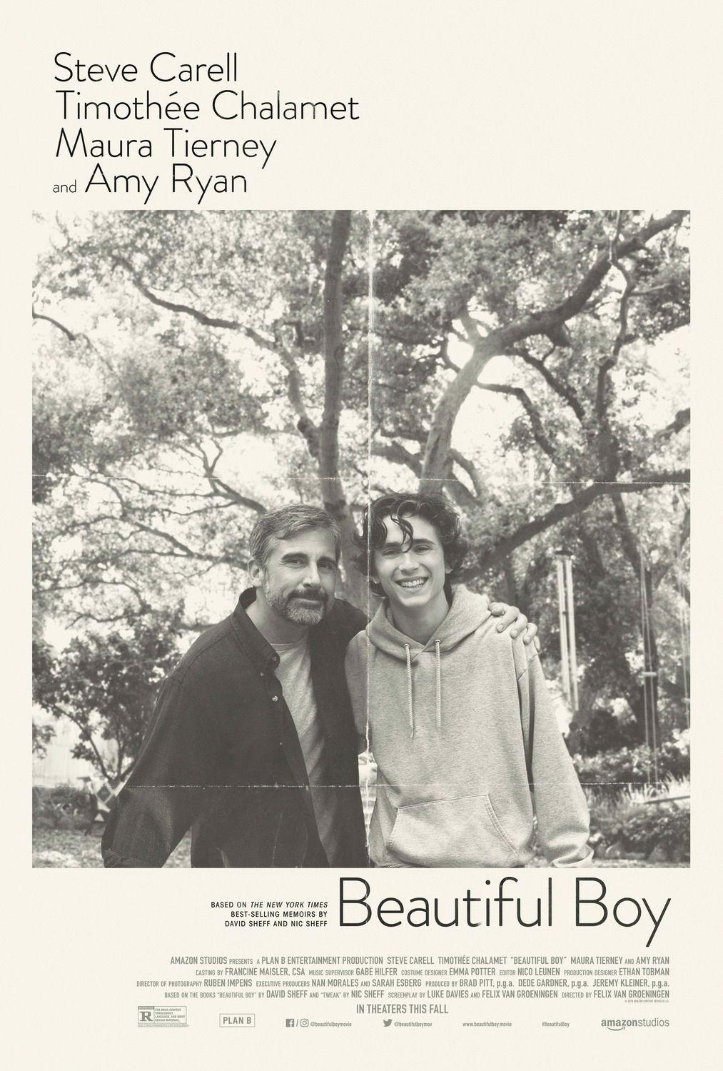 Beautiful Boy Upcoming Movies. Movie Database. JoBlo.com