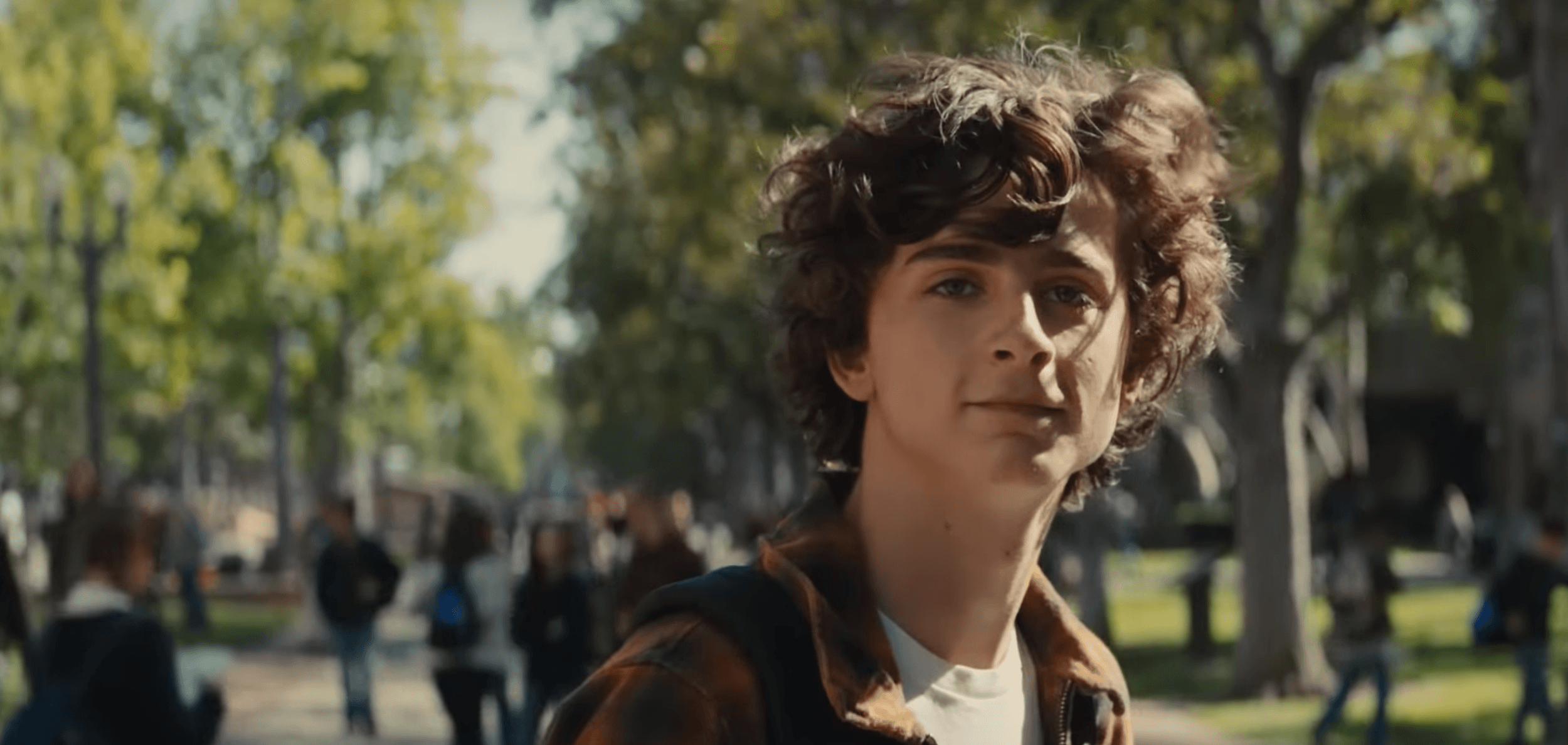Timothée Chalamet Is a Beautiful Boy in His New Film