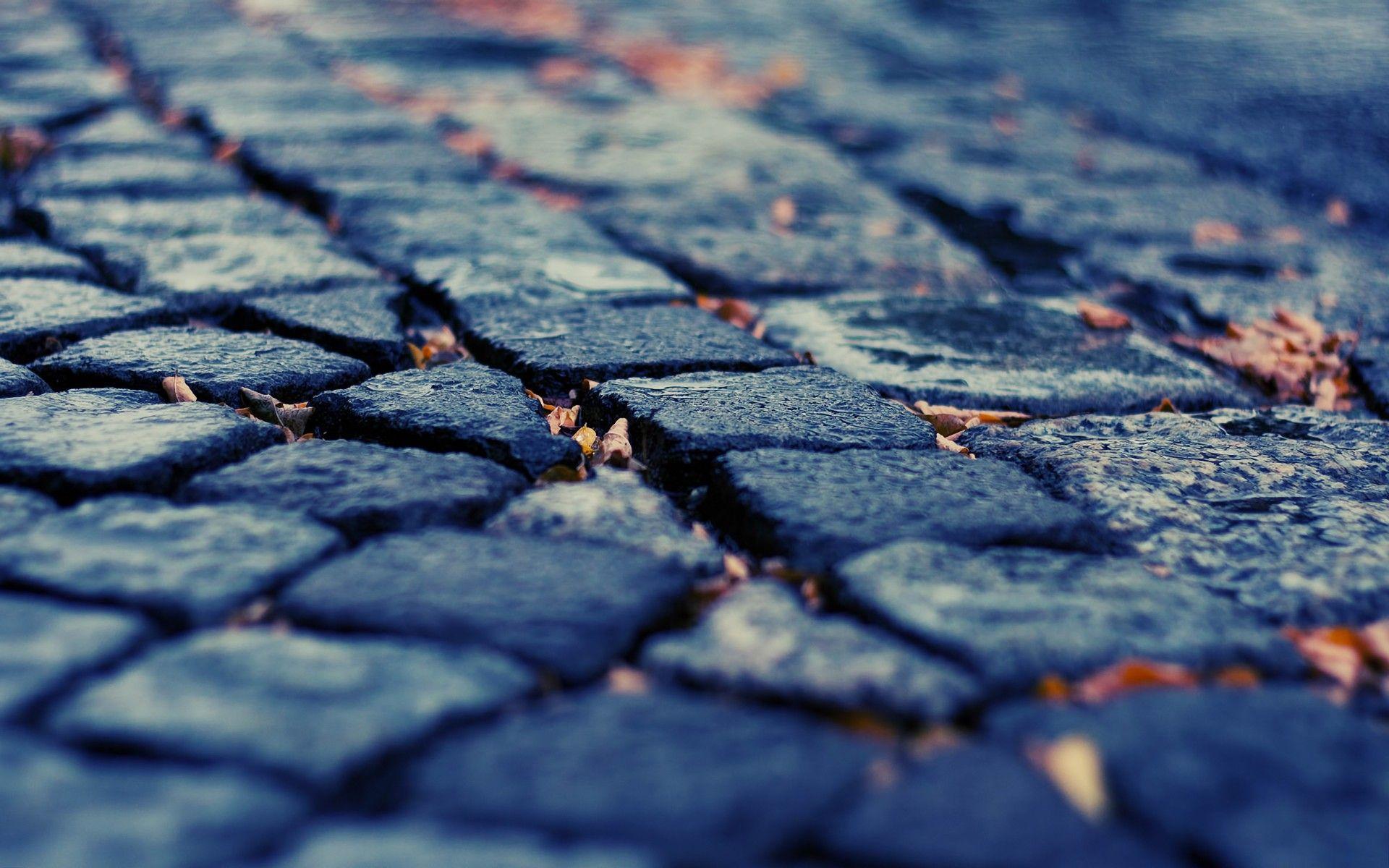 pavement, depth of field, cobblestones, fallen leaves wallpaper