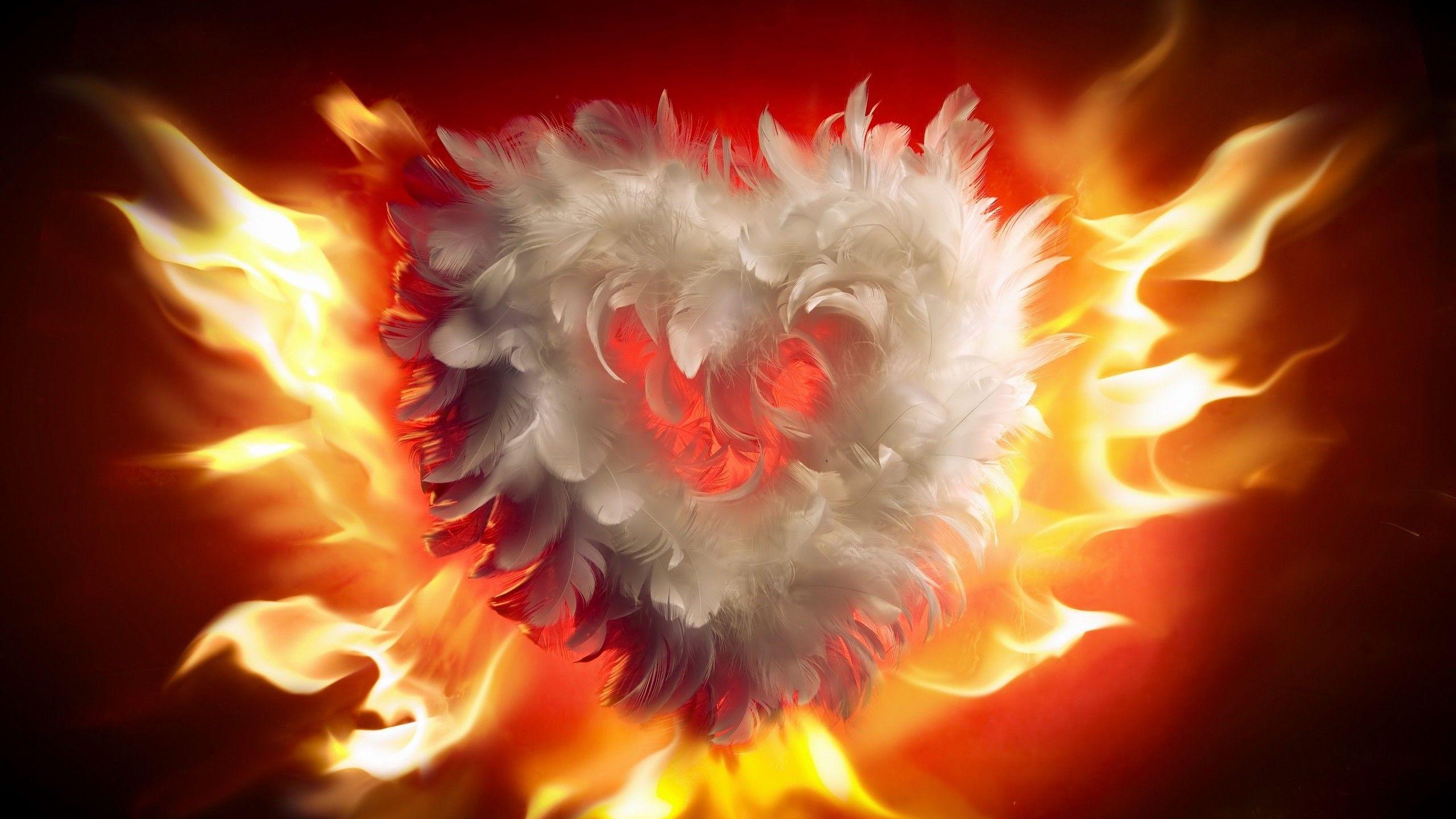 Download 2560x1440 Heart, Feathers, Fire, Romance, Artwork, #COOL