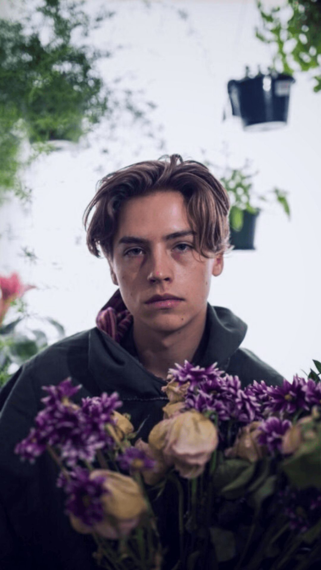 cole sprouse wallpaper