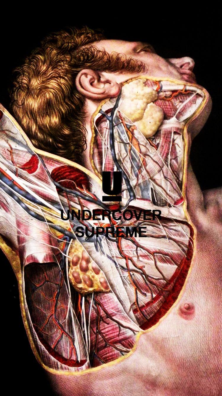 Supreme X UC anatomy wallpaper