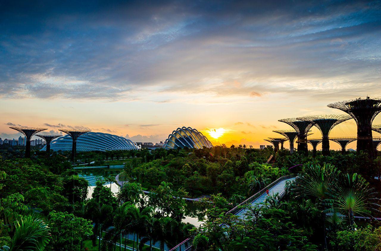 Wallpaper Singapore Gardens by the Bay Nature Sky Sunrises and