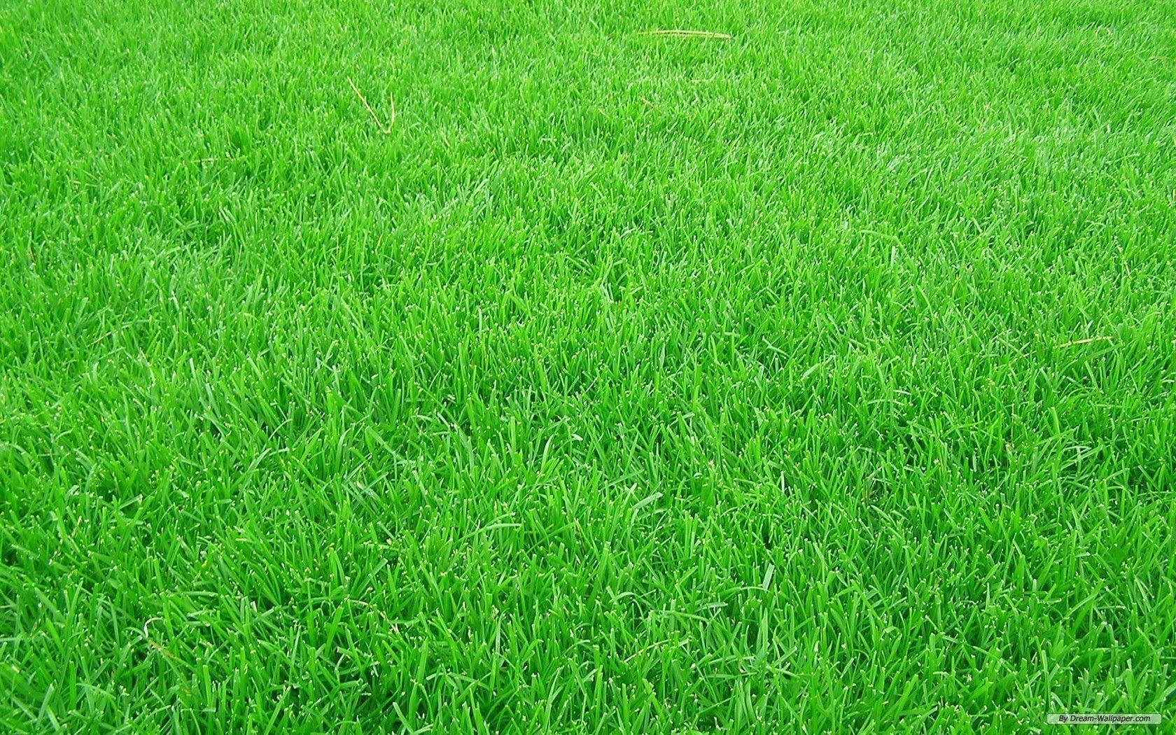 Football Grass HD Wallpaper