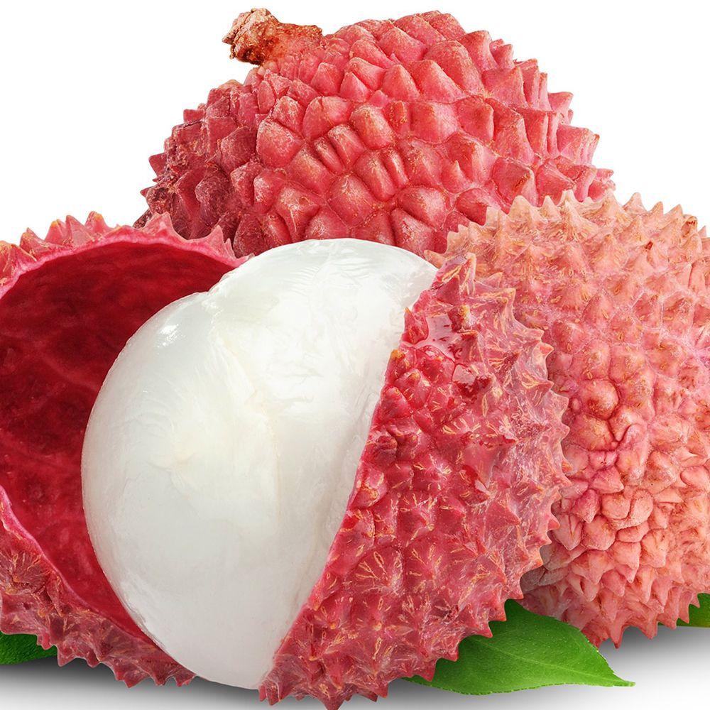 litchi, Cricket, Travel, Recipes & more