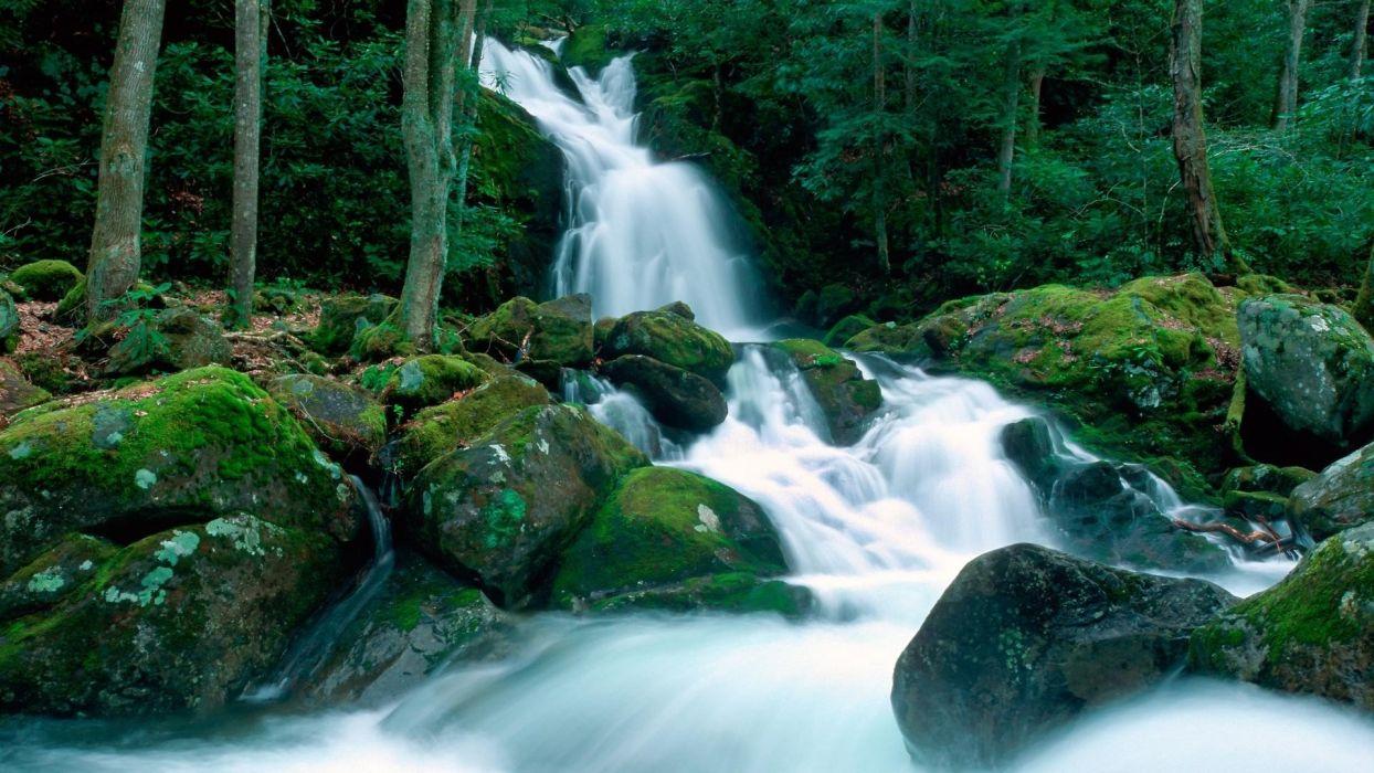 Landscapes nature falls Great Smoky Mountains creek North Carolina