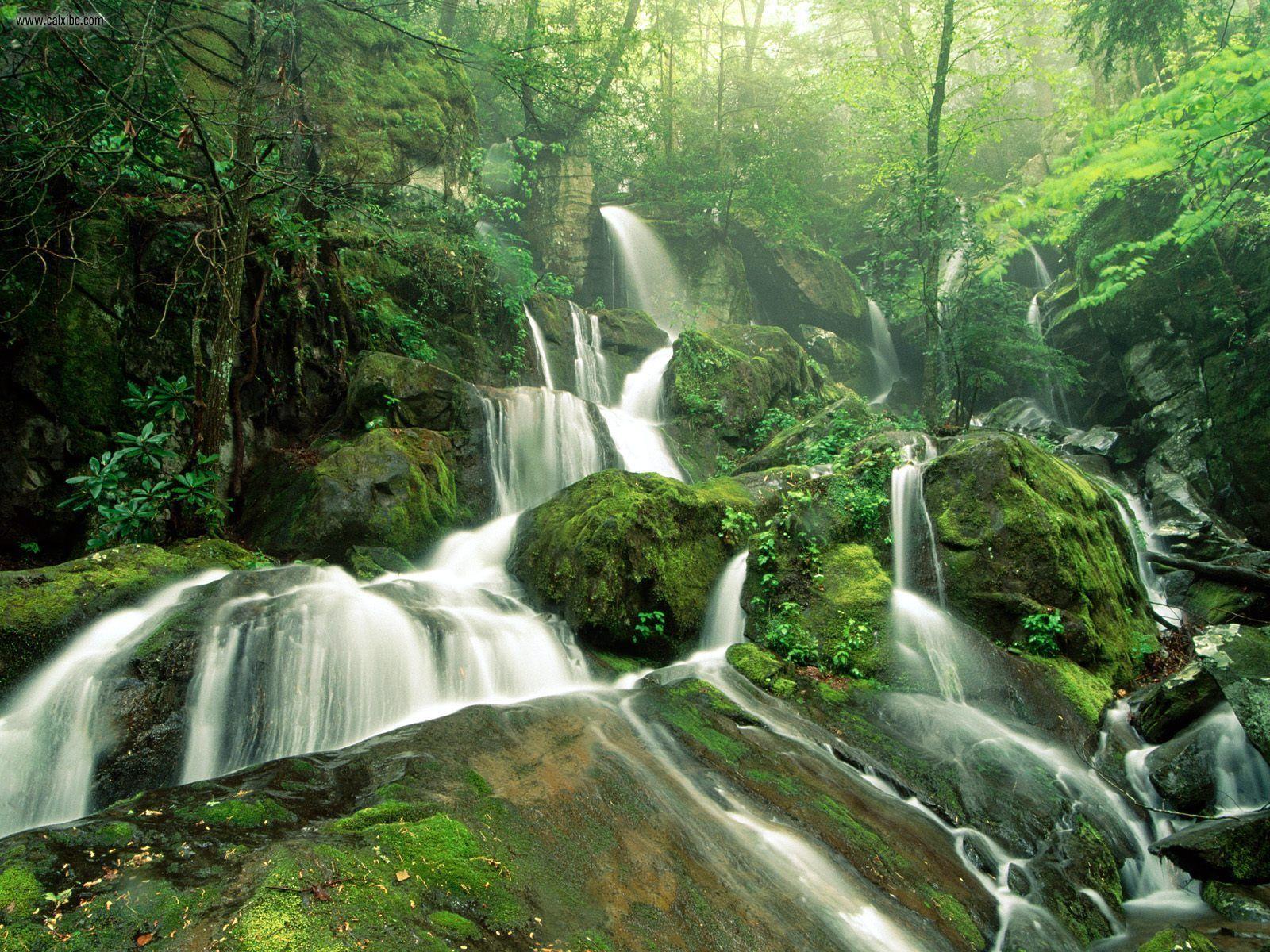 Nature: Cliff Branch Falls Great Smoky Mountains National Park