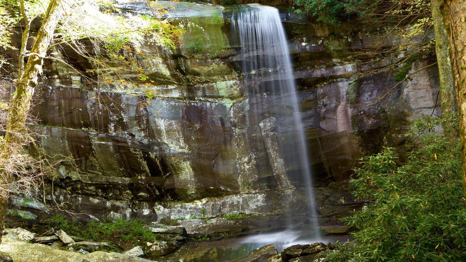 A Couple of Waterfalls William Britten 
