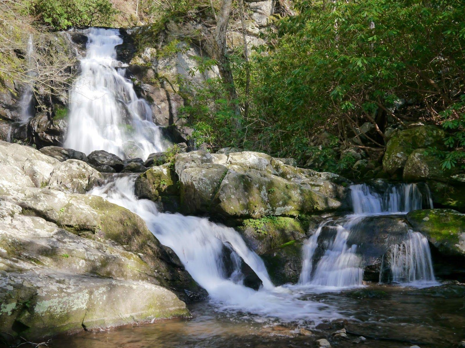 Top Smoky Mountain Hiking Trails with Waterfalls The All 