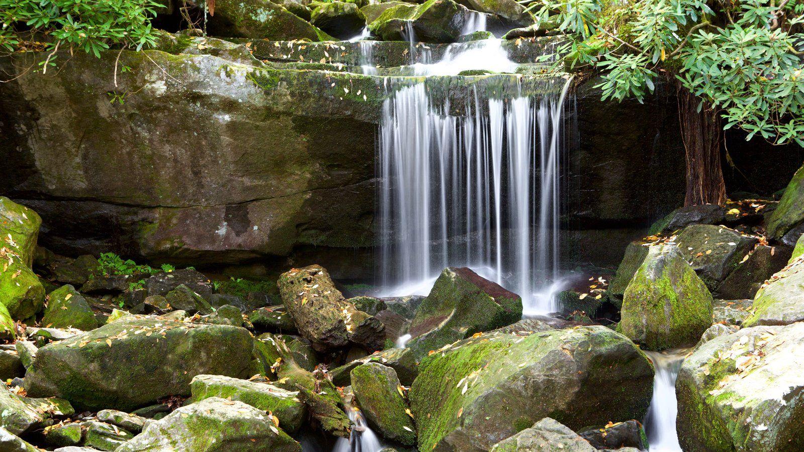 Waterfall Picture: View Image of Great Smoky Mountains National Park