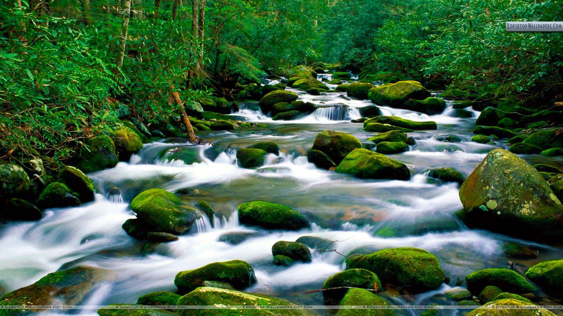 Roaring Fork River, Great Smoky Mountains, Tennessee Wallpaper