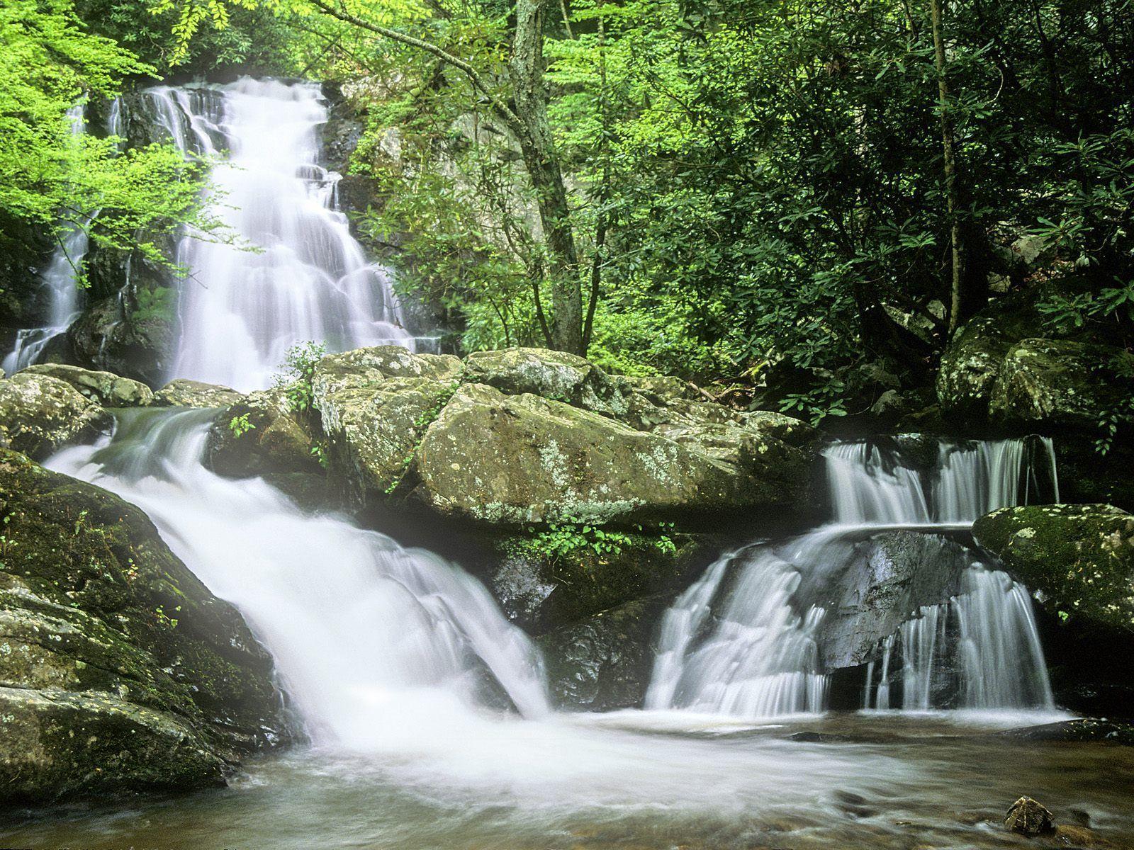 Nature: Upper And Lower Spruce Flats Falls, Near Tremont, Great