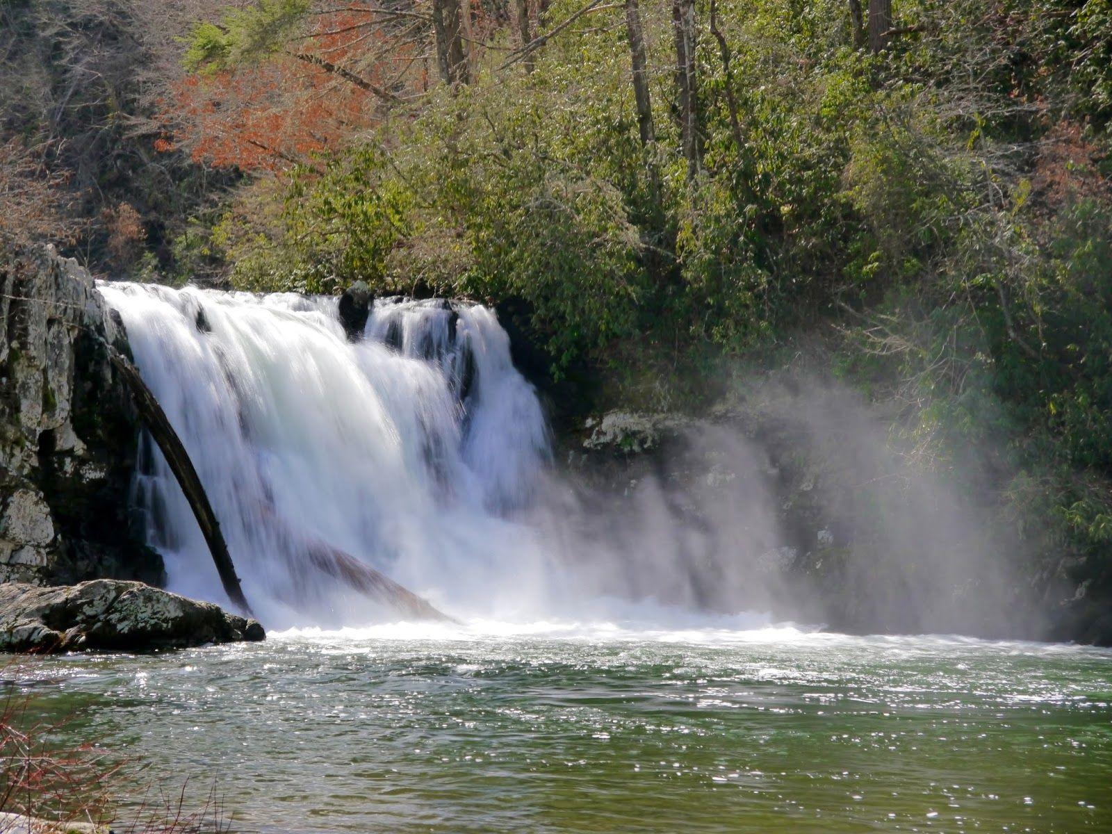American Travel Journal: Abrams Falls Trail Smoky Mountains