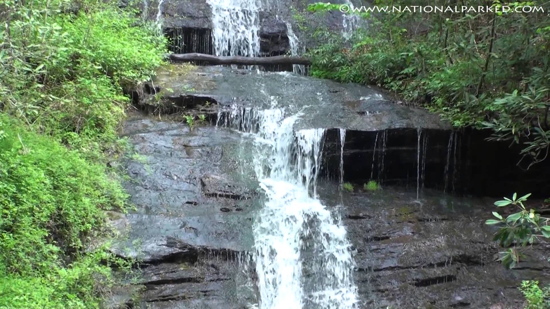 Tom Branch Falls in Great Smoky Mountains National Park 1080p