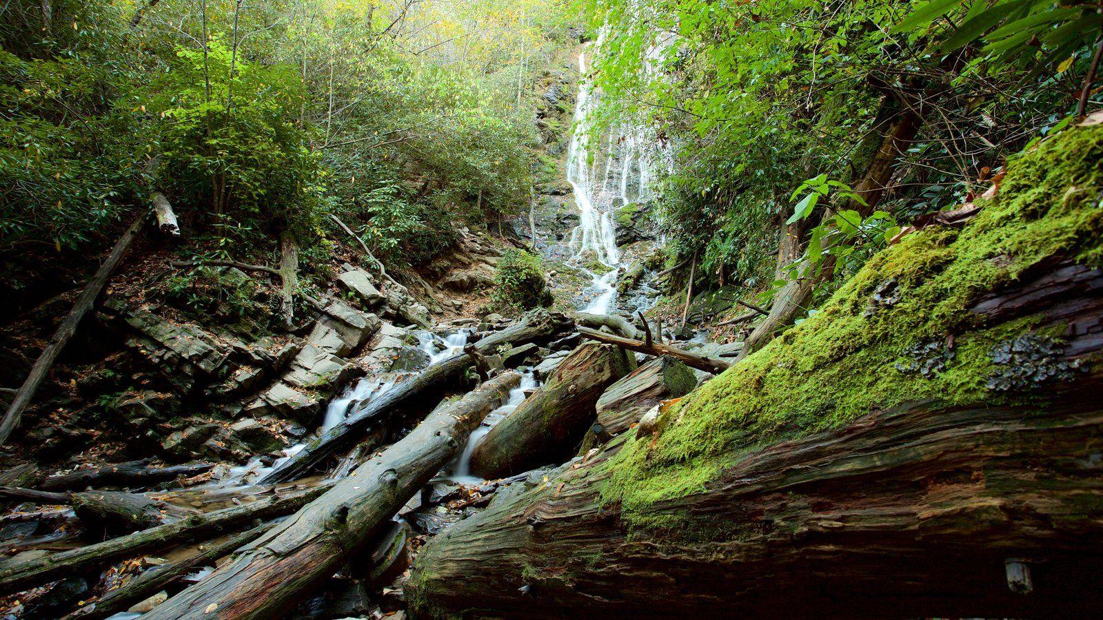 Waterfall Picture: View Image of Great Smoky Mountains National Park