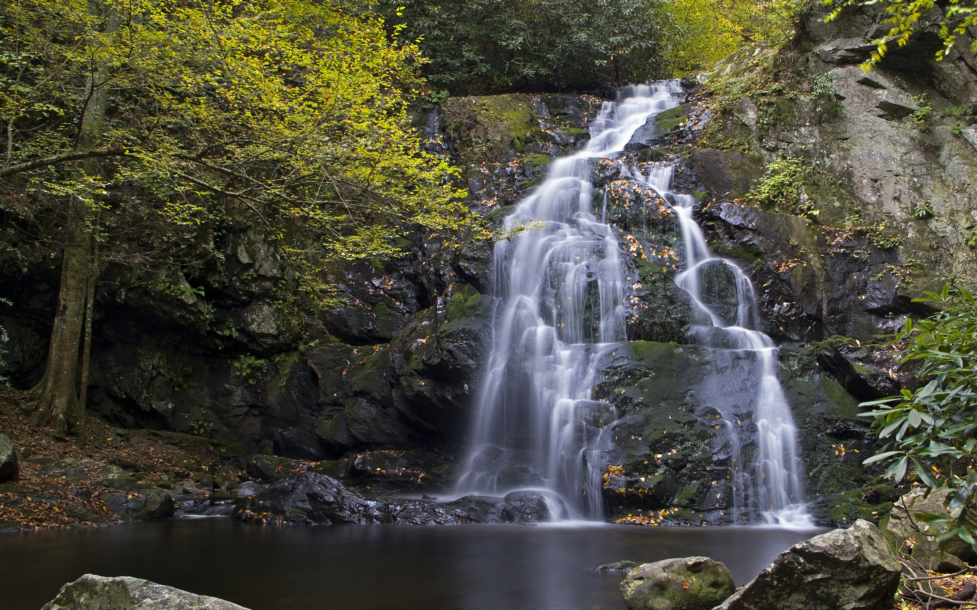 Landscape photography of waterfall in forest during daytime, spruce