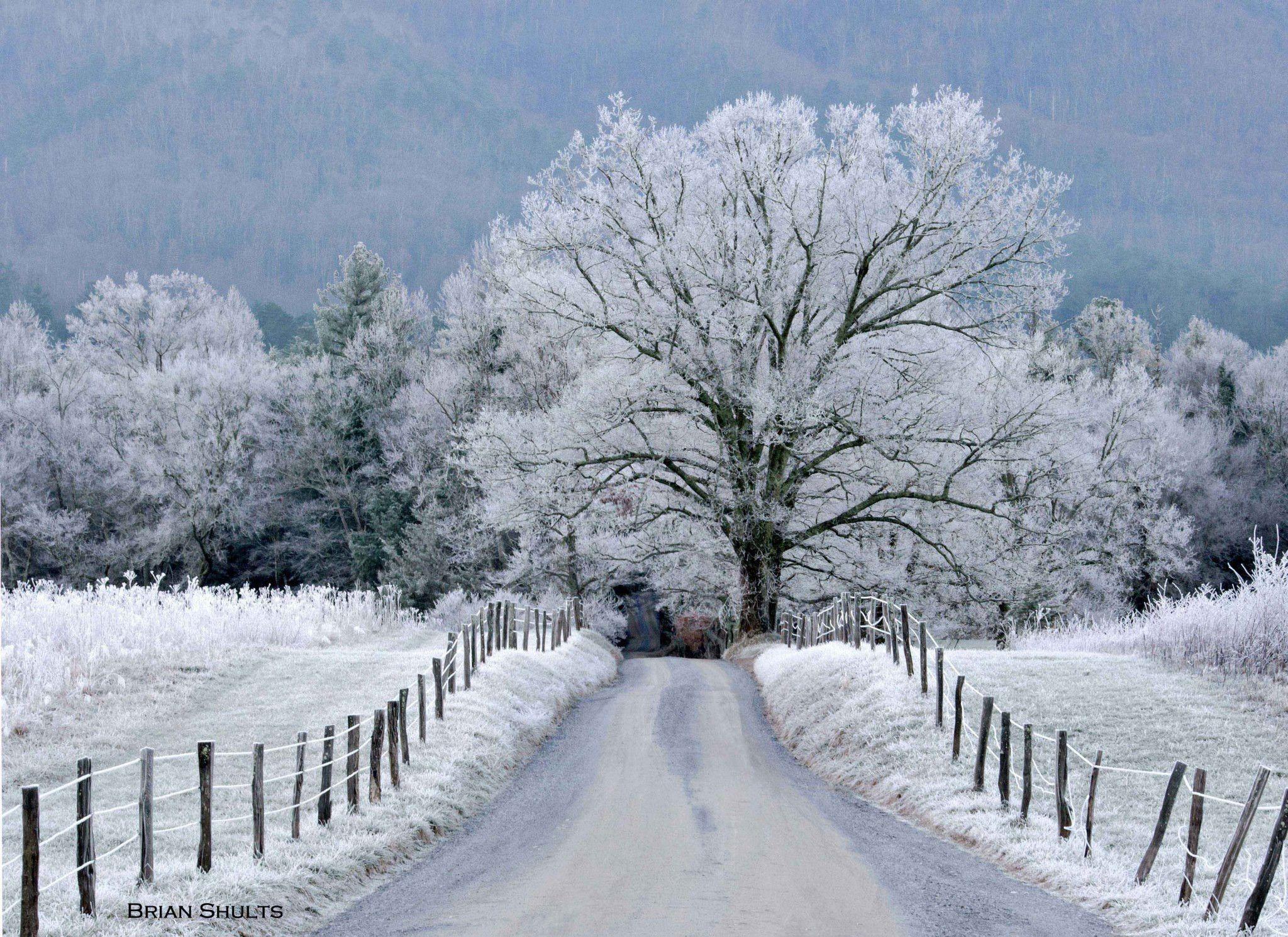 A Smoky Mountain Christmas Wallpapers Wallpaper Cave