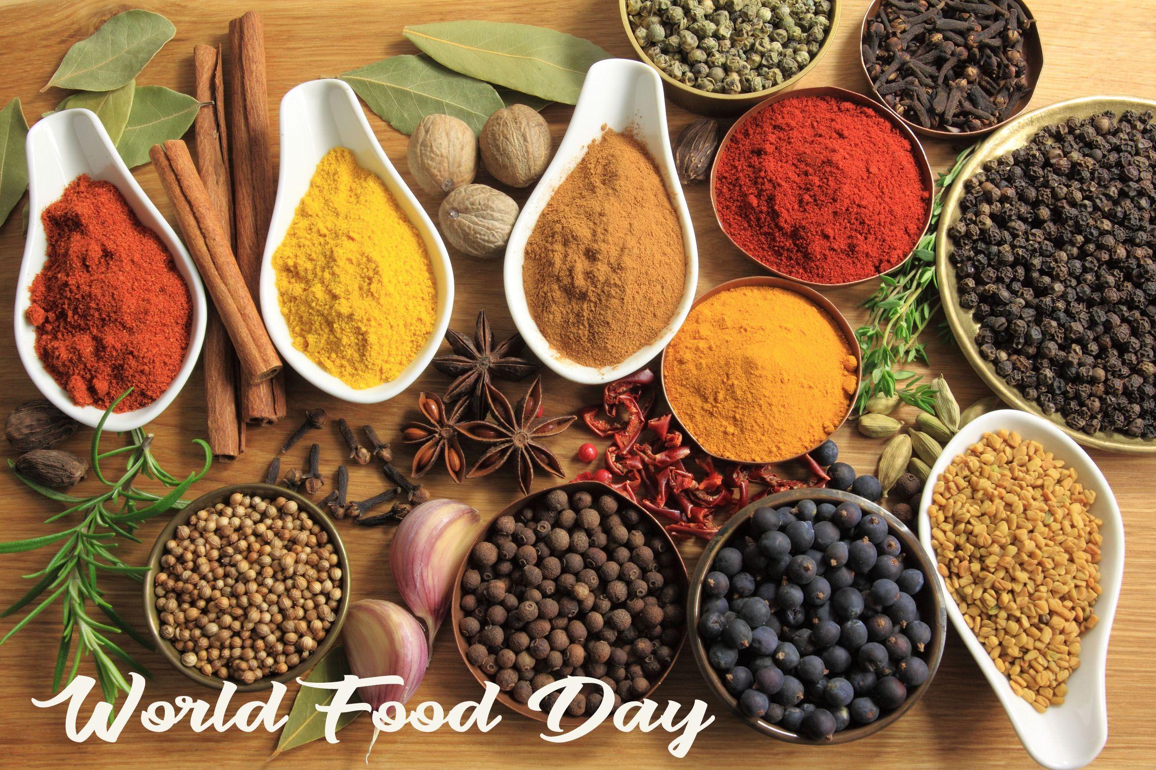 World Food Day Latest HD Wallpaper