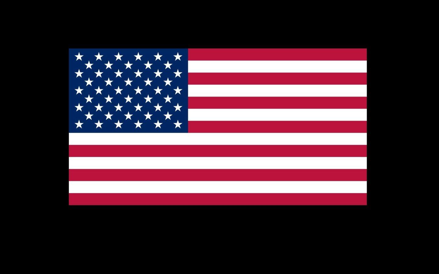 1440x900px USA Flag Wallpaper