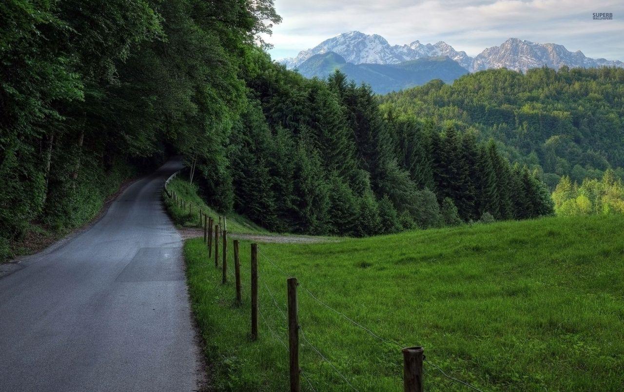 Forest Road Fences Mountains wallpaper. Forest Road Fences
