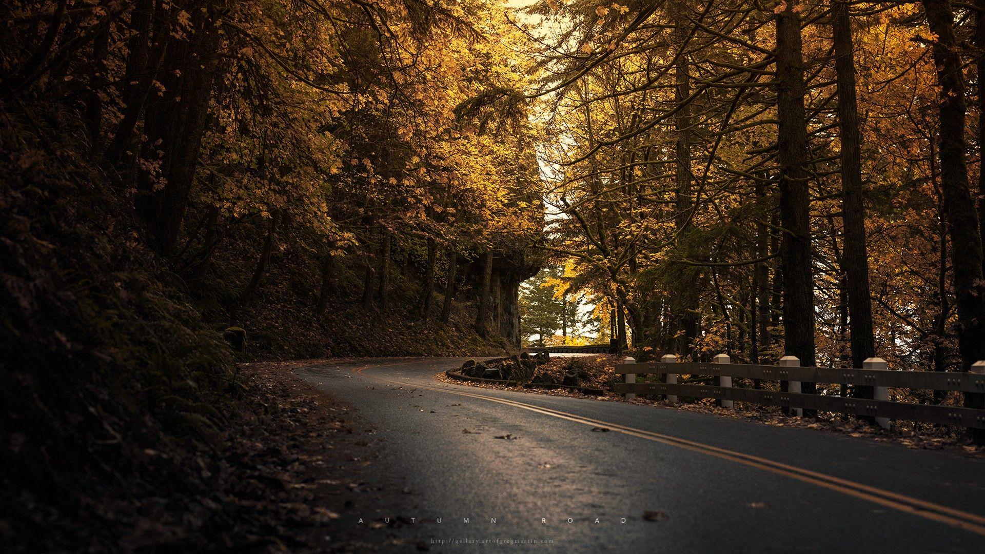 Yellow Leaves Forest Road wallpaper. nature and landscape
