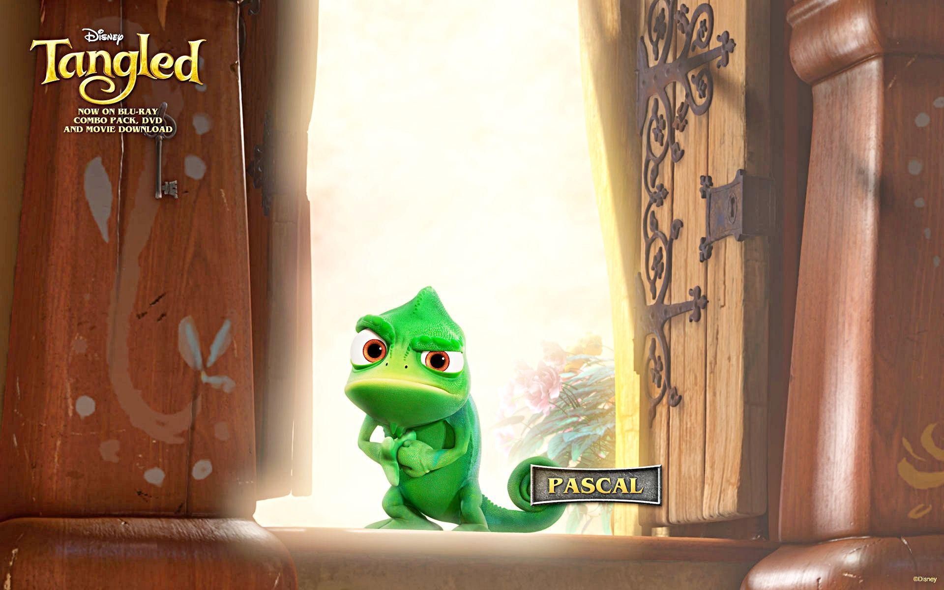 Pascal in Disney's Tangled Desktop Wallpaper