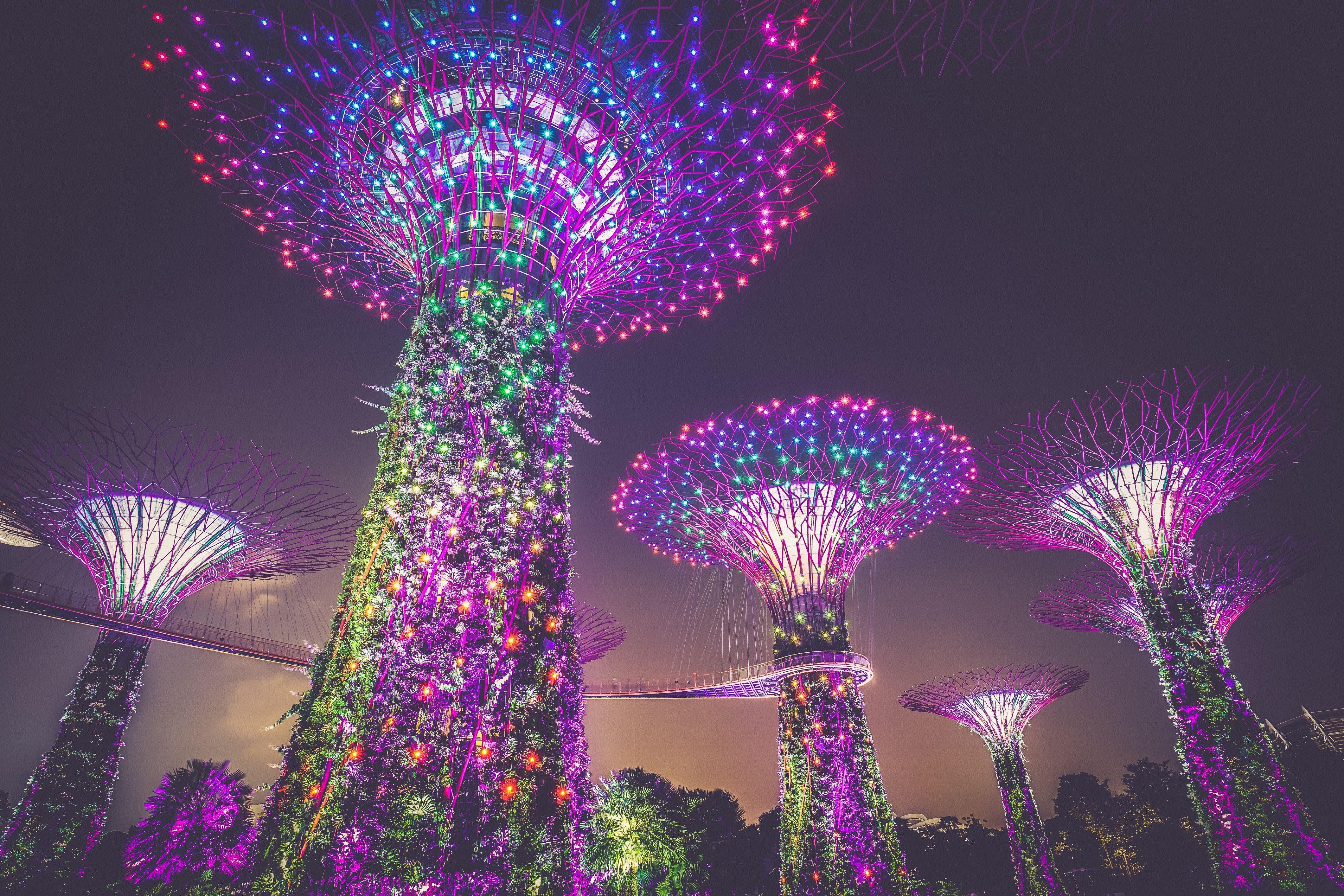 Wallpaper Gardens by the Bay, Illumination, Lights, Contemporary
