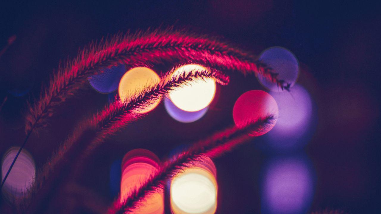 Wallpaper Lights, Bokeh, Blurry, Night, HD, 5K, Photography