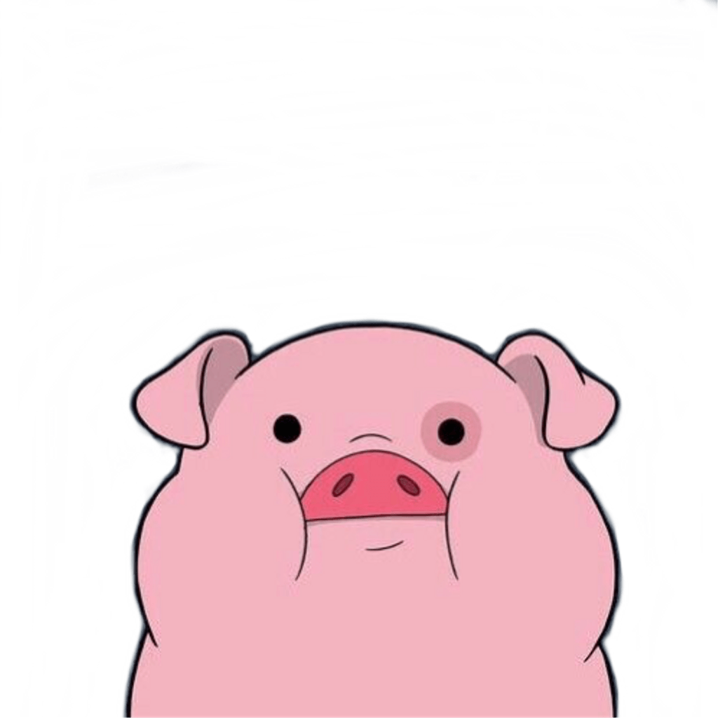 tumblr pig cute cutepig reaction wallpaper animal anime
