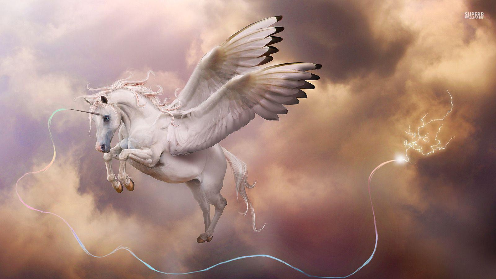 Unicorns image Alicorn HD wallpaper and background photo
