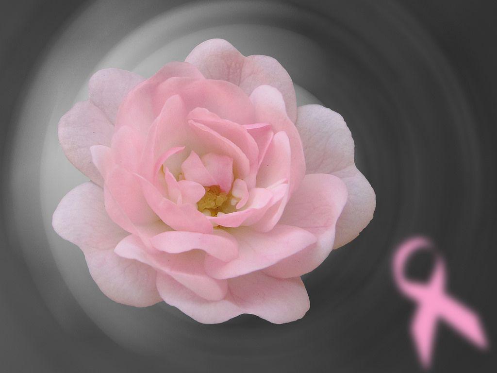 October is Breast Cancer Awareness Month. Octubre