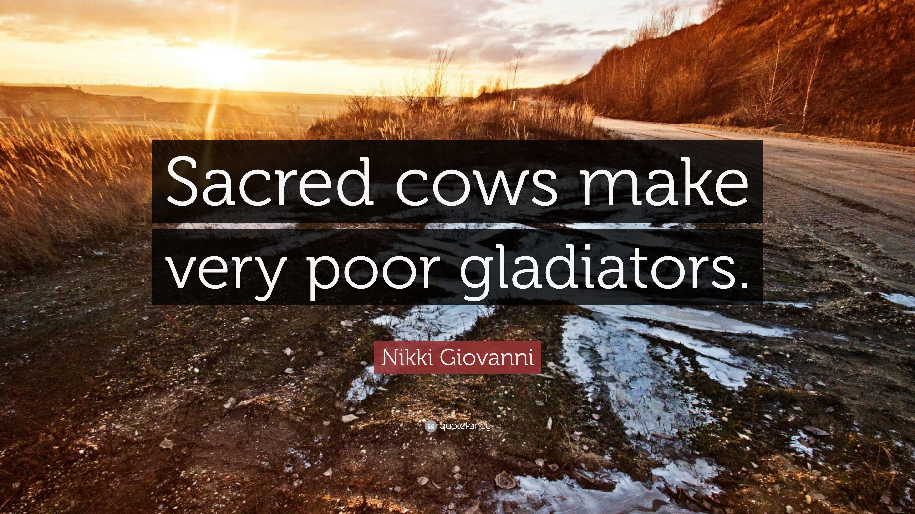 Nikki Giovanni Quote: “Sacred cows make very poor gladiators.” 7