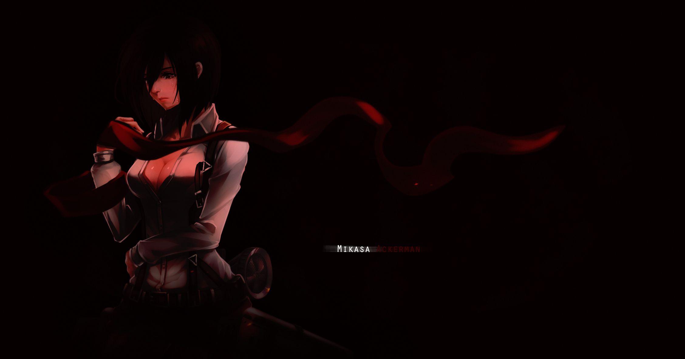 Mikasa ackerman Wallpaper HD, Desktop Background, Image and 2256x1184