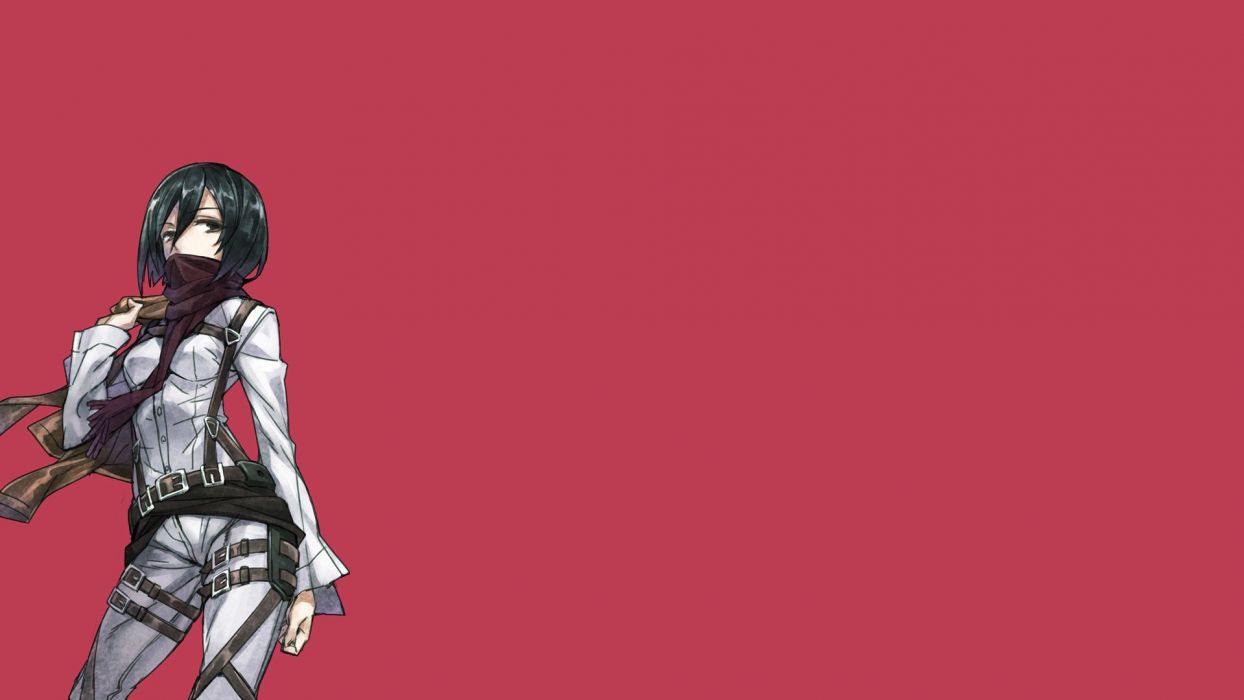 Anime simple background anime girls Shingeki no Kyojin Mikasa