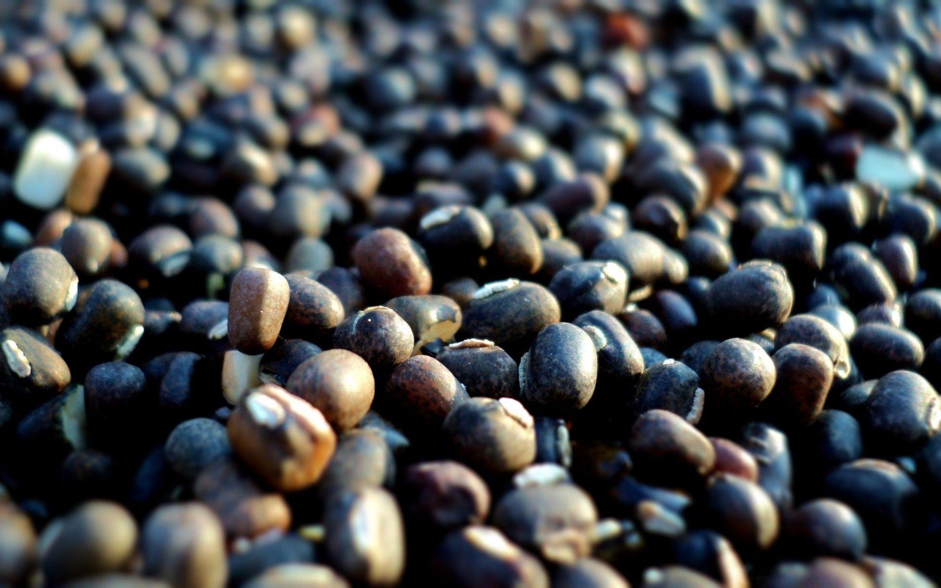 Seeds Wallpapers - Wallpaper Cave