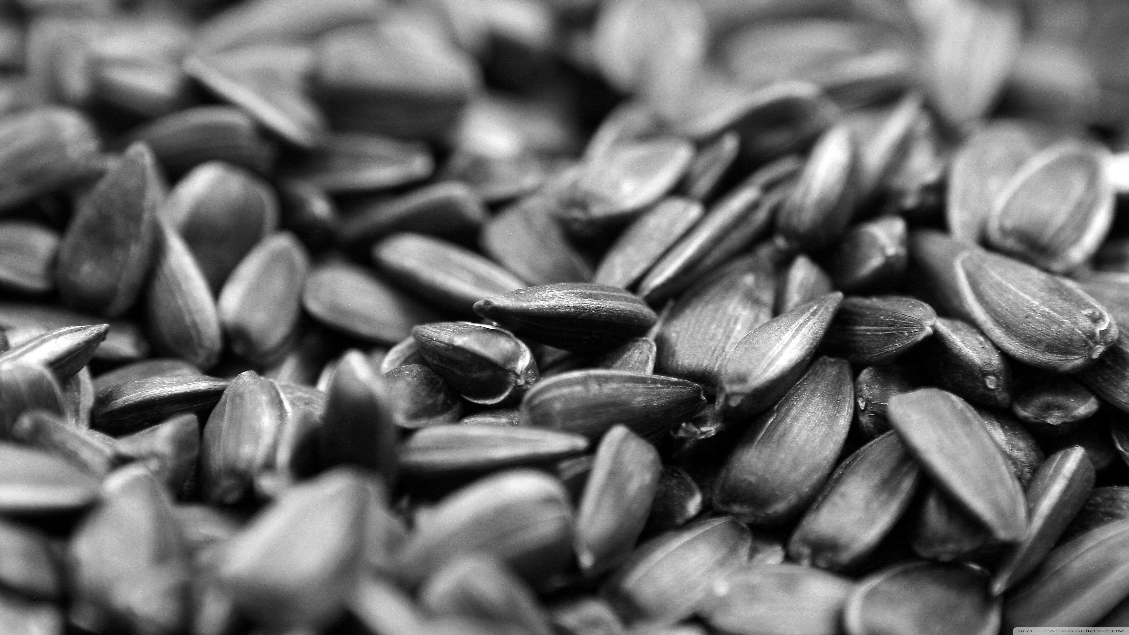  Seeds  Wallpapers  Wallpaper  Cave