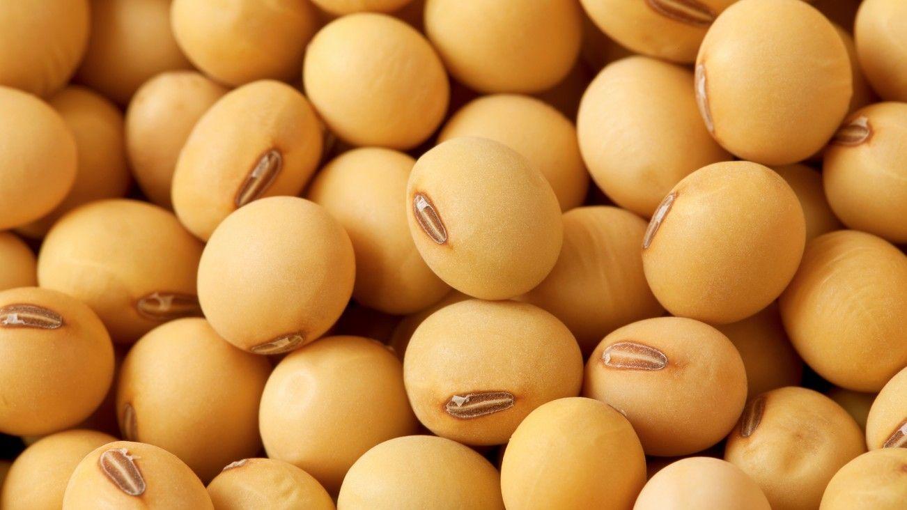 Seeds Wallpapers - Wallpaper Cave