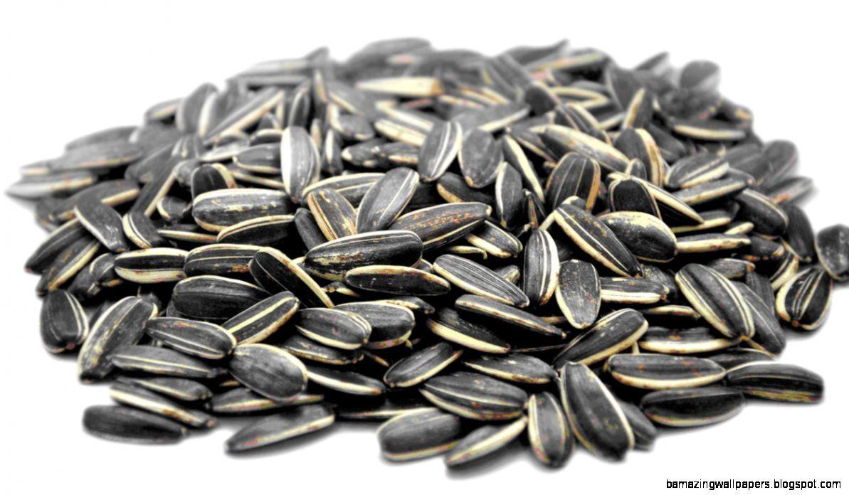 Seeds Wallpapers Wallpaper Cave