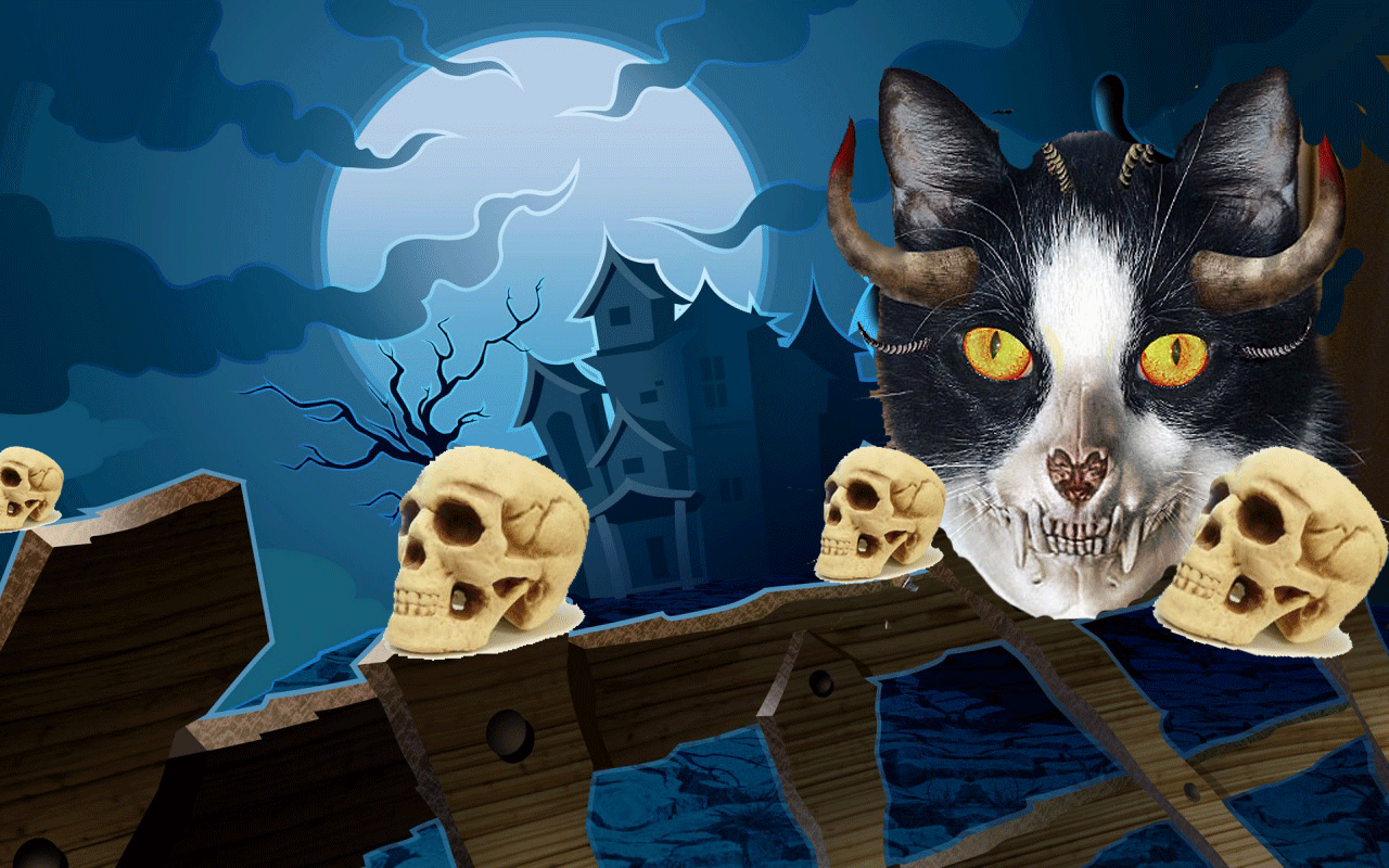 Halloween Free Wallpaper: Cat Halloween Wallpaper, Halloween Black