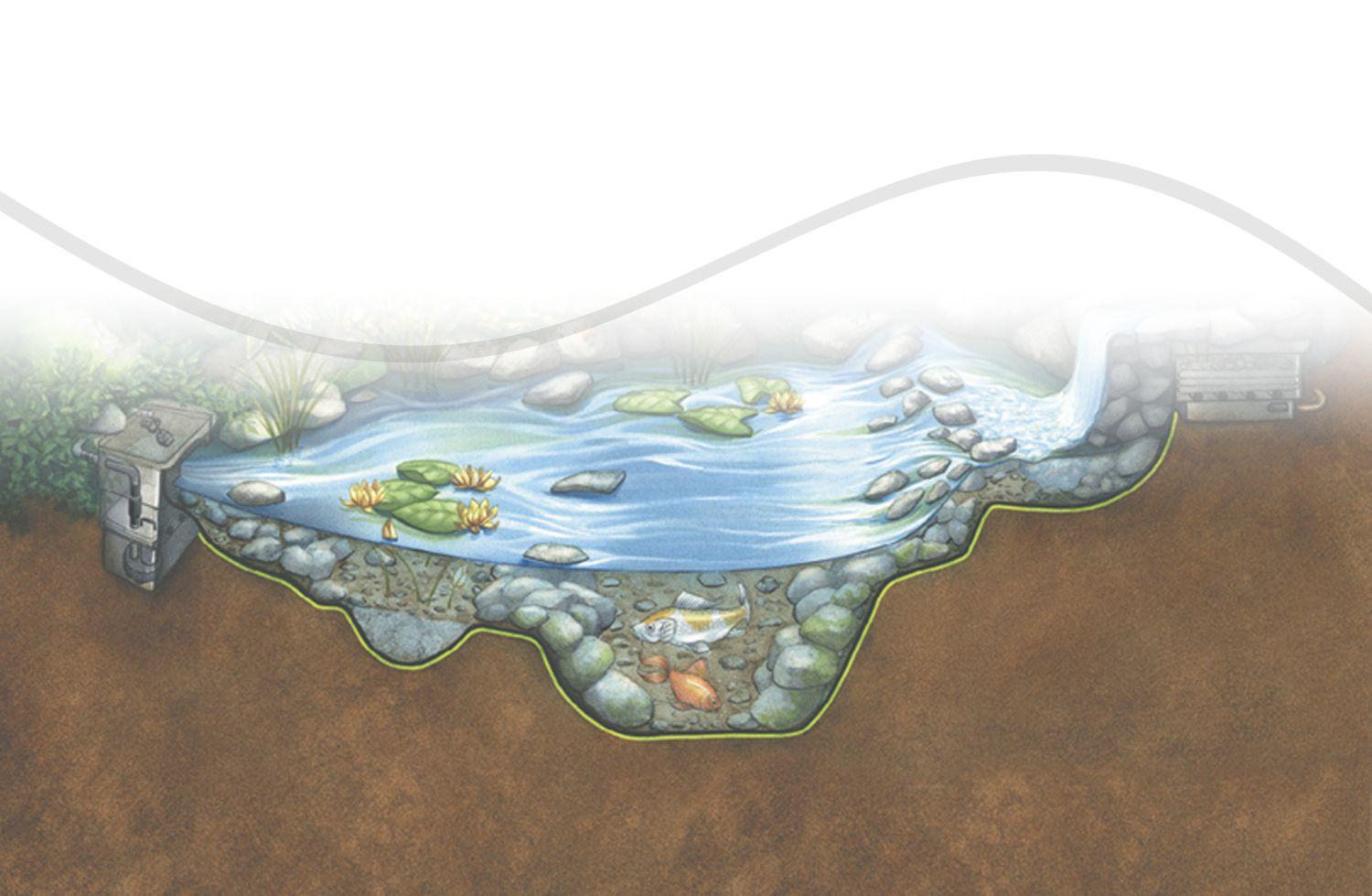 Aquascape Ecosystem Background For PowerPoint PPT
