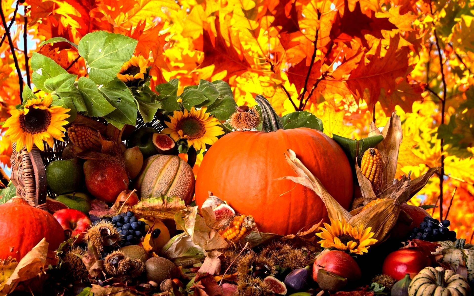 Pumpkin and Autumn Leaves Wallpaper Awesome Fall Harvest Wallpaper
