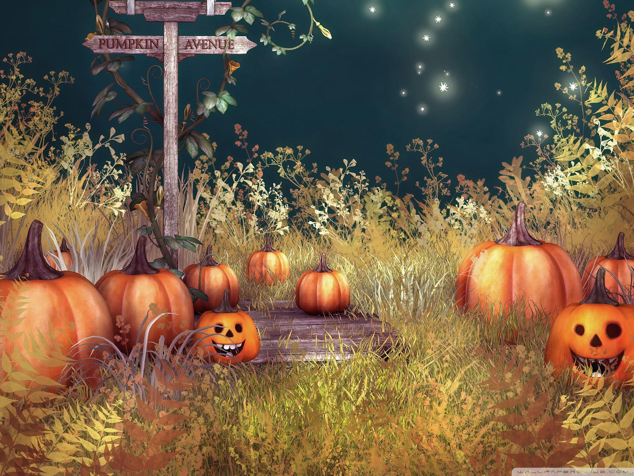 Halloween Pumpkins ❤ 4K HD Desktop Wallpaper for 4K Ultra HD TV