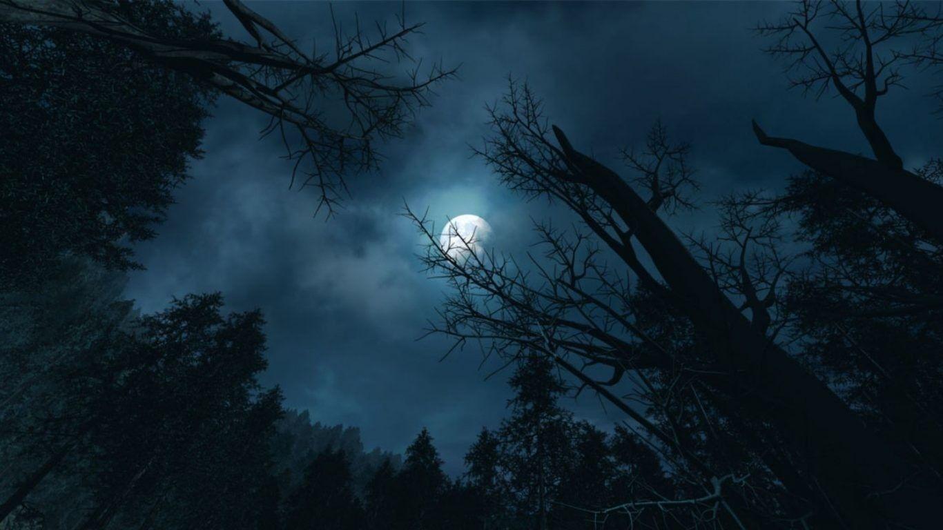 Moon Night Branches Glow Wallpaper with Sky Blue Background Luxury