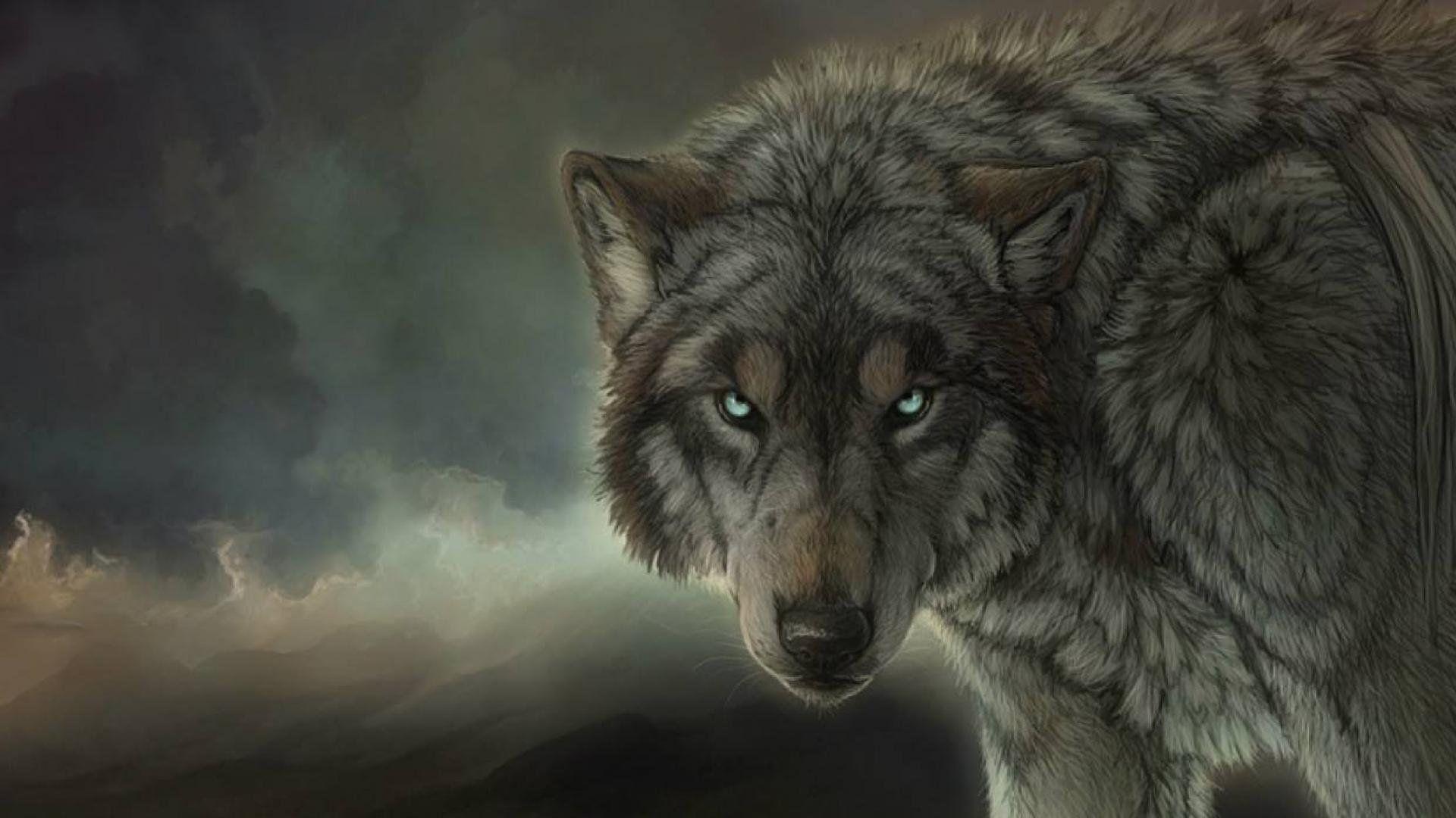 Wild Wolf High Definition Picture Wallpaper Free Downloads