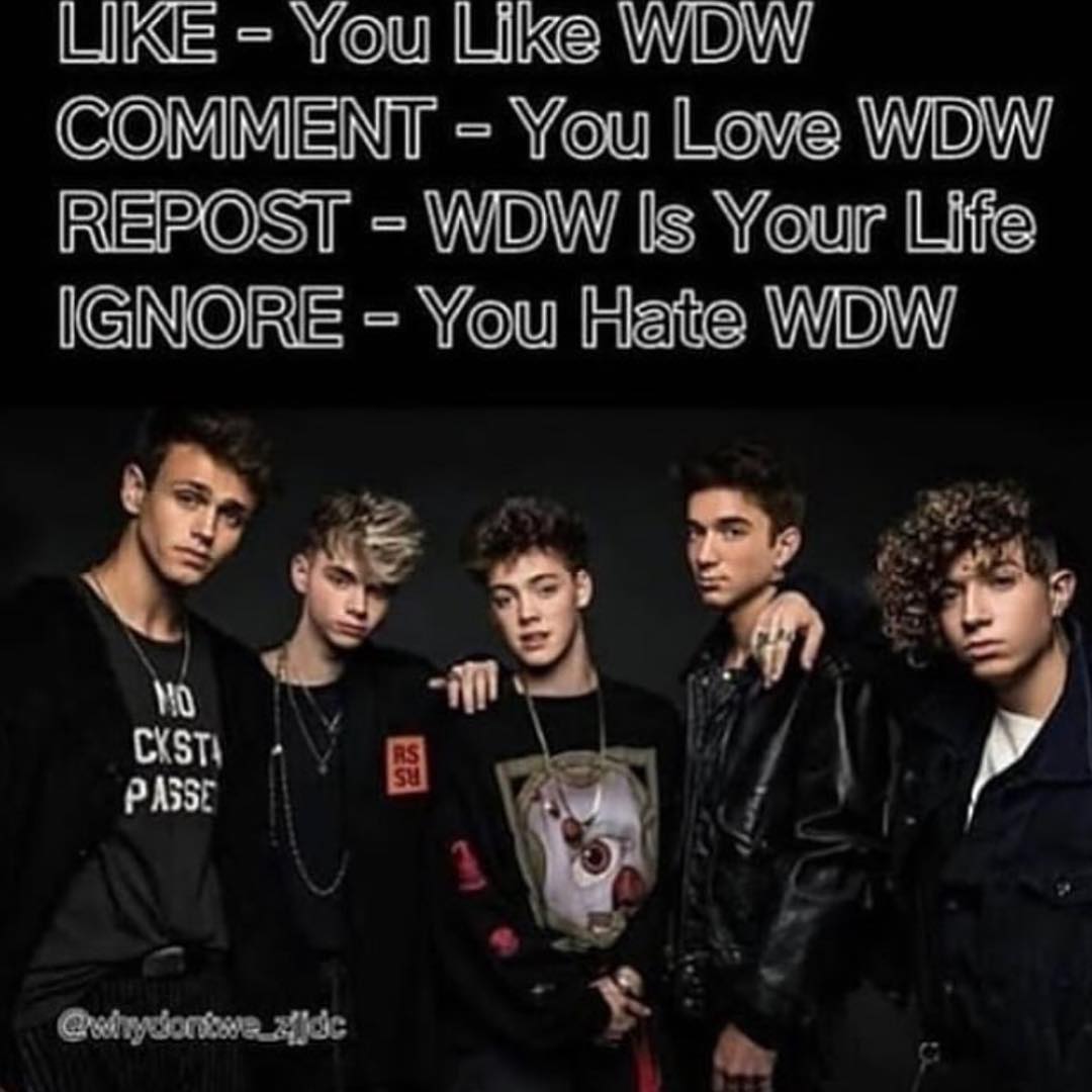 image about #limelightsforlife tag on instagram photo videos