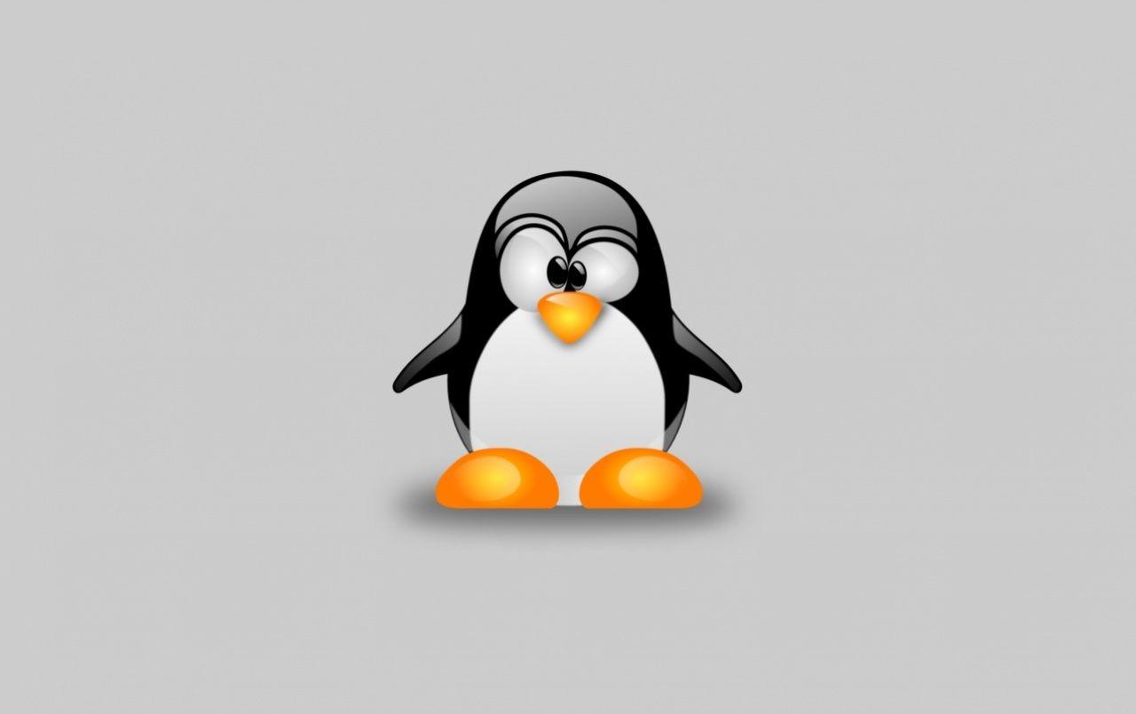 Linux Tux Pinguin wallpaper. Linux Tux Pinguin
