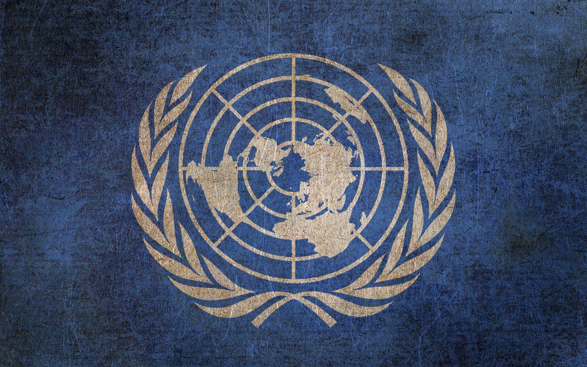 Flag Of The United Nations HD Wallpaper