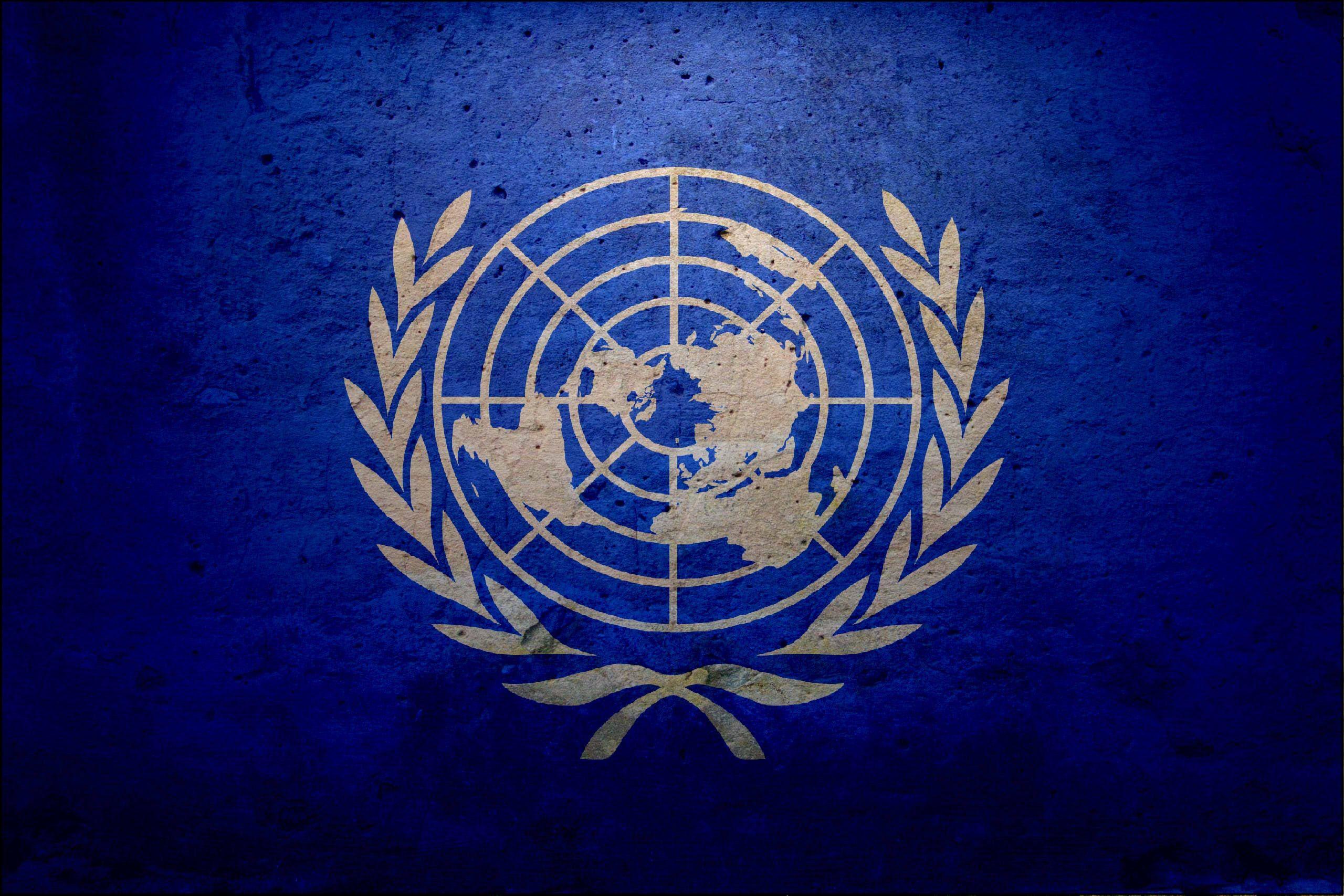 Flag Of The United Nations HD Wallpaper. Background Image