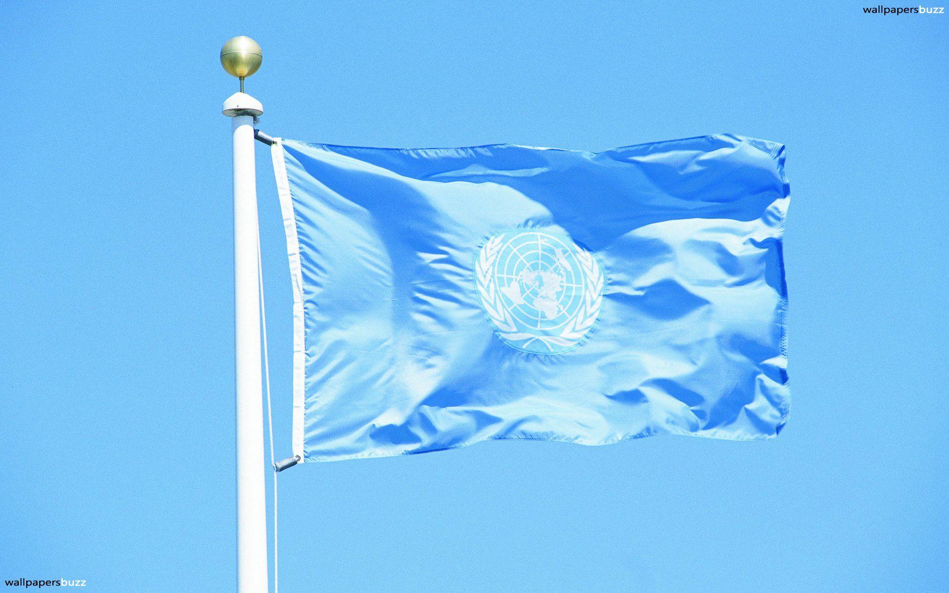 The flag of United Nations organisation HD Wallpaper