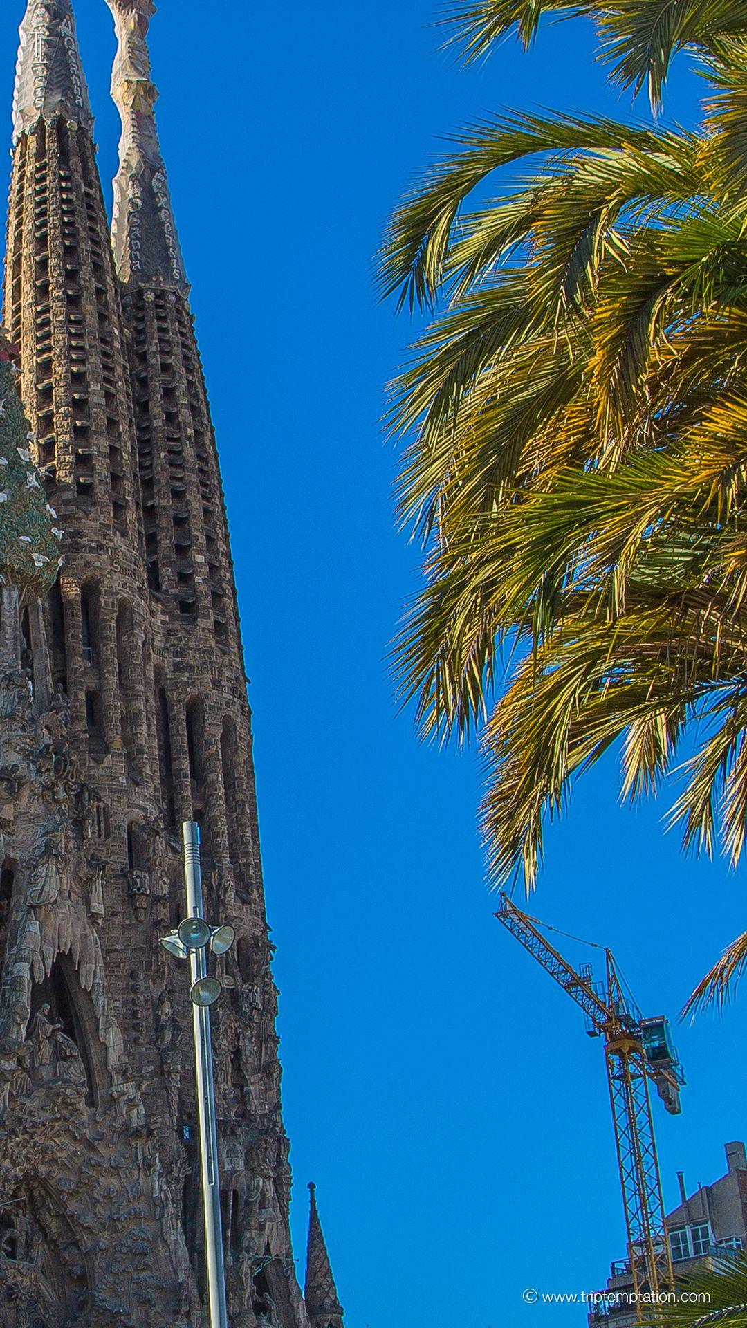 Download Sagrada Familia wallpaper iPhone 6 Plus